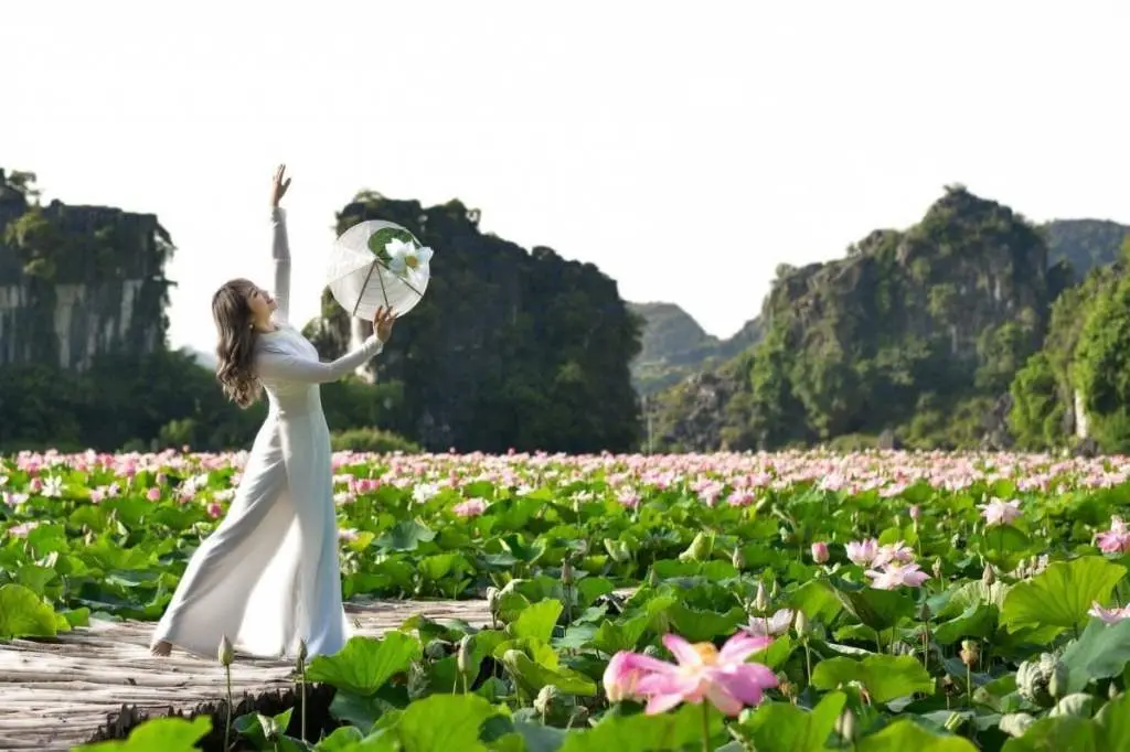 Đứng h&igrave;nh trước m&ugrave;a sen Ninh B&igrave;nh nở rộ đẹp m&ecirc; ly 9