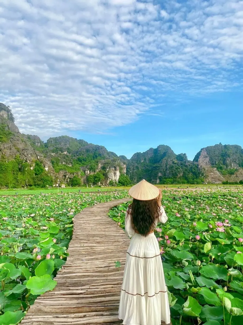 Đứng h&igrave;nh trước m&ugrave;a sen Ninh B&igrave;nh nở rộ đẹp m&ecirc; ly 10