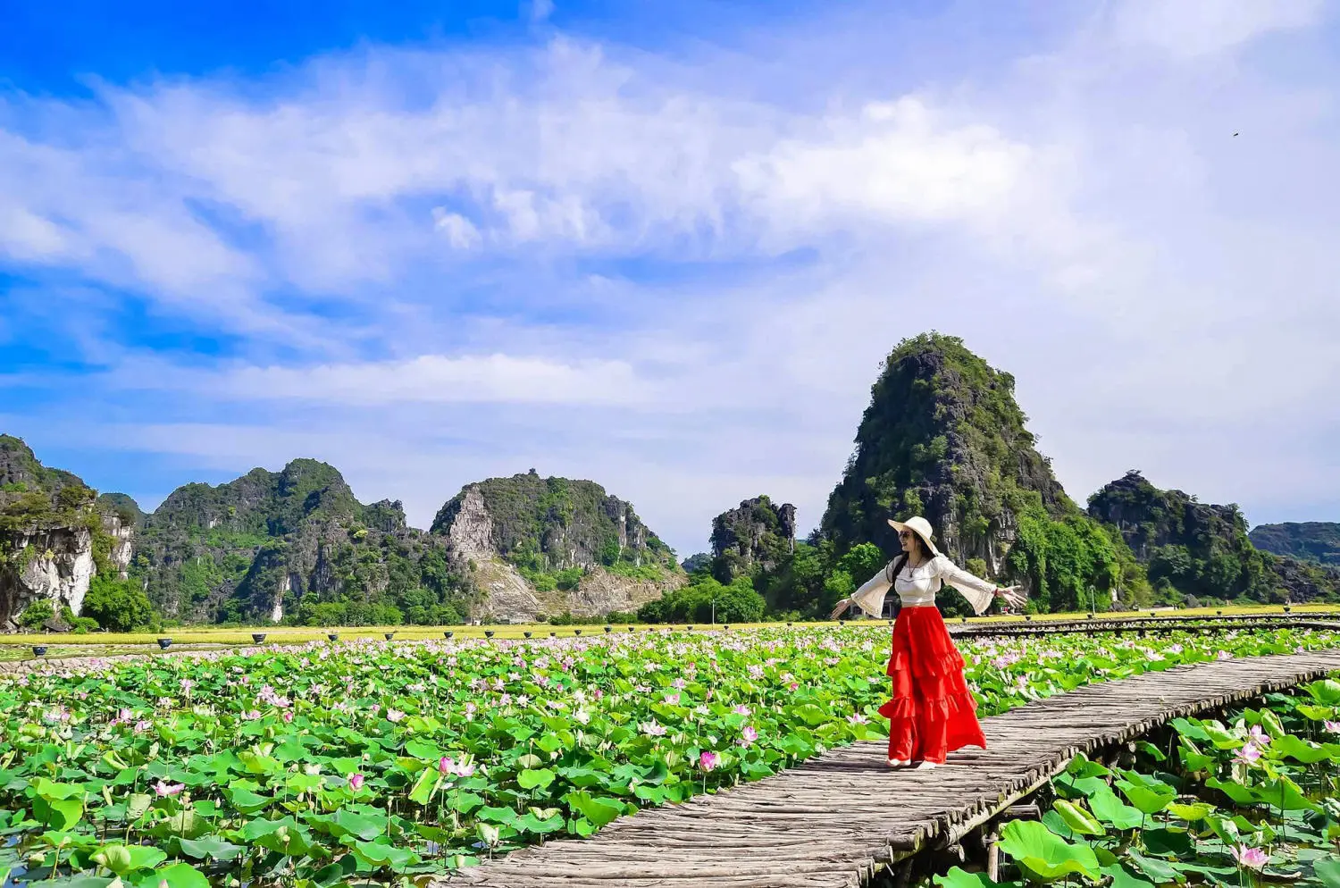 Đứng h&igrave;nh trước m&ugrave;a sen Ninh B&igrave;nh nở rộ đẹp m&ecirc; ly 11