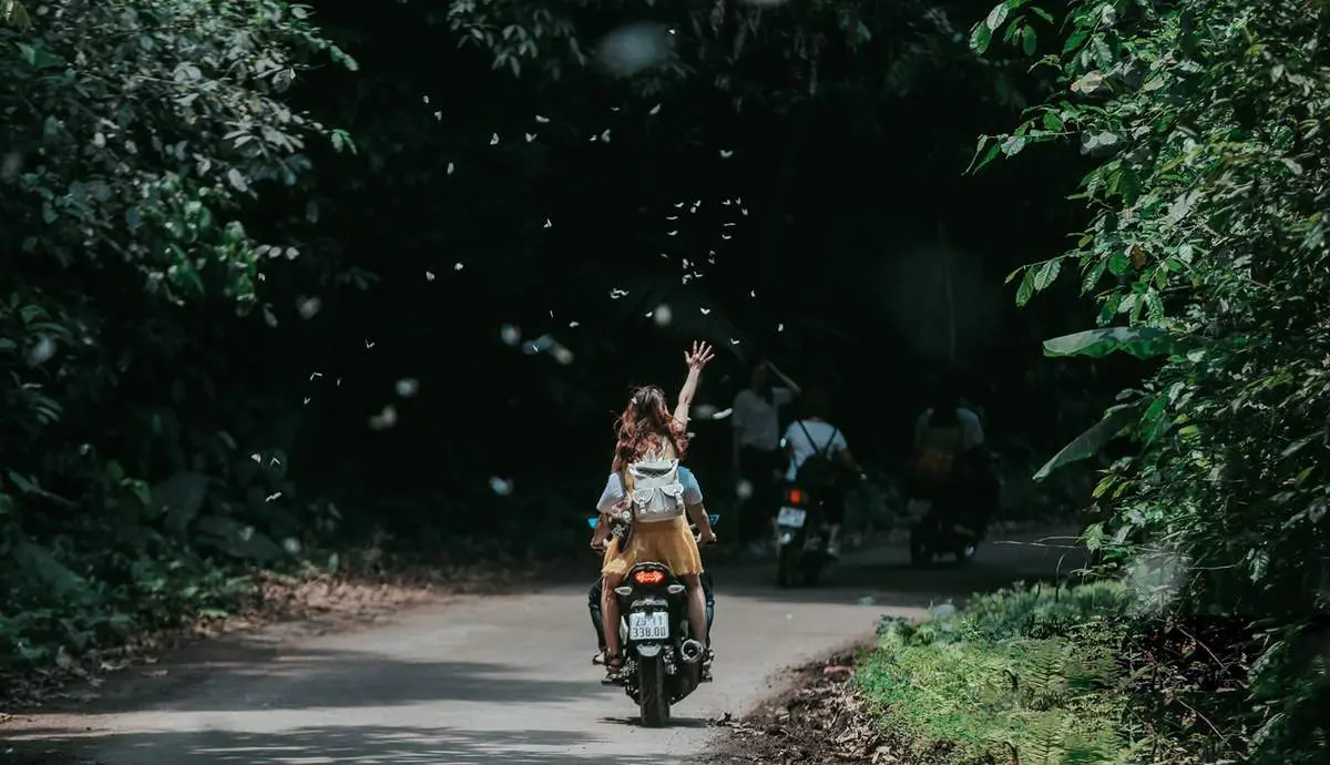 Kh&aacute;m ph&aacute; C&uacute;c Phương m&ugrave;a bướm thơ mộng như chốn ti&ecirc;n cảnh 7