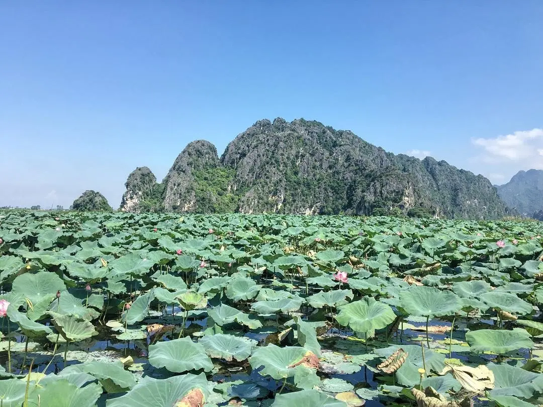Kinh nghiệm du lịch cộng đồng V&acirc;n Long &ndash; Vịnh kh&ocirc;ng s&oacute;ng b&igrave;nh y&ecirc;n 6