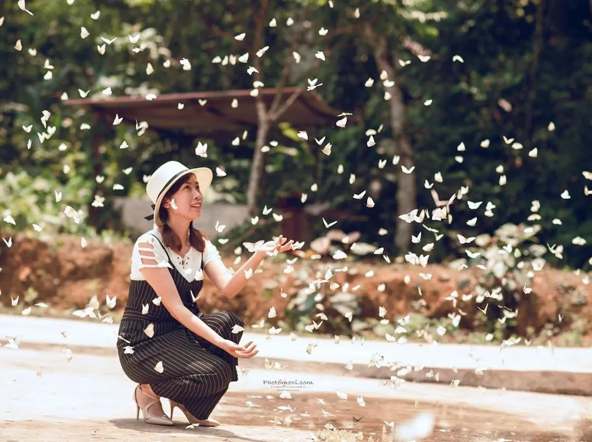 Mộng mơ v&ugrave;ng đất thi&ecirc;ng qua c&aacute;c m&ugrave;a du lịch Ninh B&igrave;nh 8