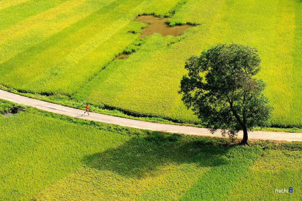 Mộng mơ v&ugrave;ng đất thi&ecirc;ng qua c&aacute;c m&ugrave;a du lịch Ninh B&igrave;nh 6