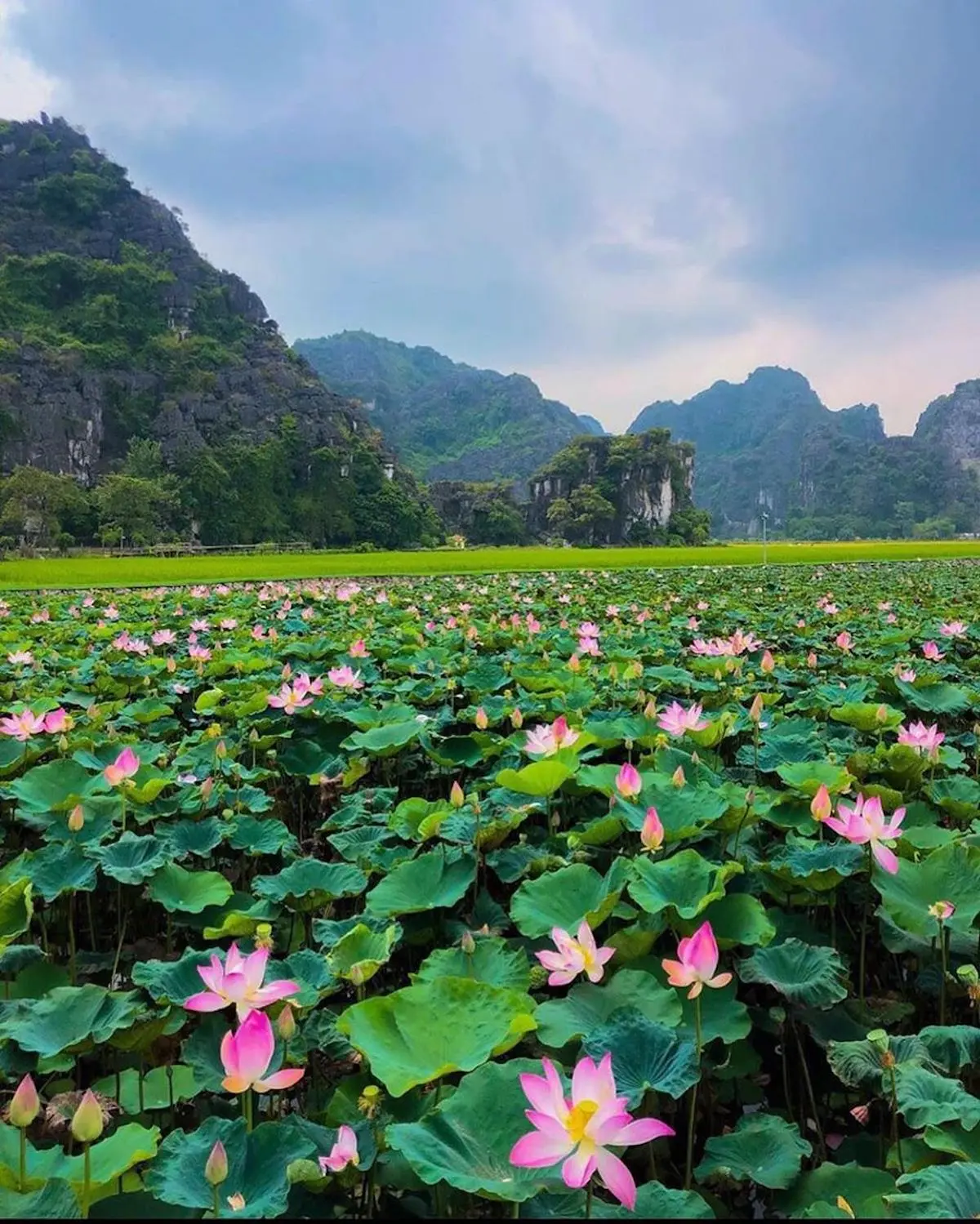 Mộng mơ v&ugrave;ng đất thi&ecirc;ng qua c&aacute;c m&ugrave;a du lịch Ninh B&igrave;nh 12