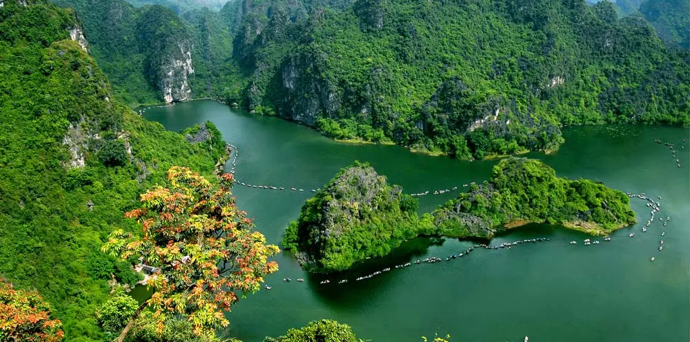 T&igrave;m hiểu c&aacute;ch kh&aacute;m ph&aacute; Thung Vối Tr&agrave;ng An th&uacute; vị nhất 2