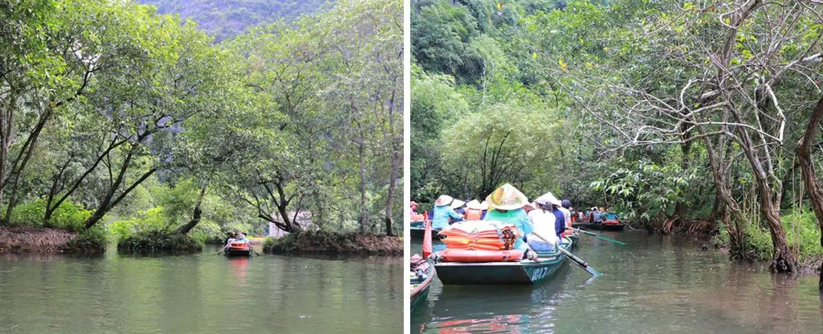 T&igrave;m hiểu c&aacute;ch kh&aacute;m ph&aacute; Thung Vối Tr&agrave;ng An th&uacute; vị nhất 6