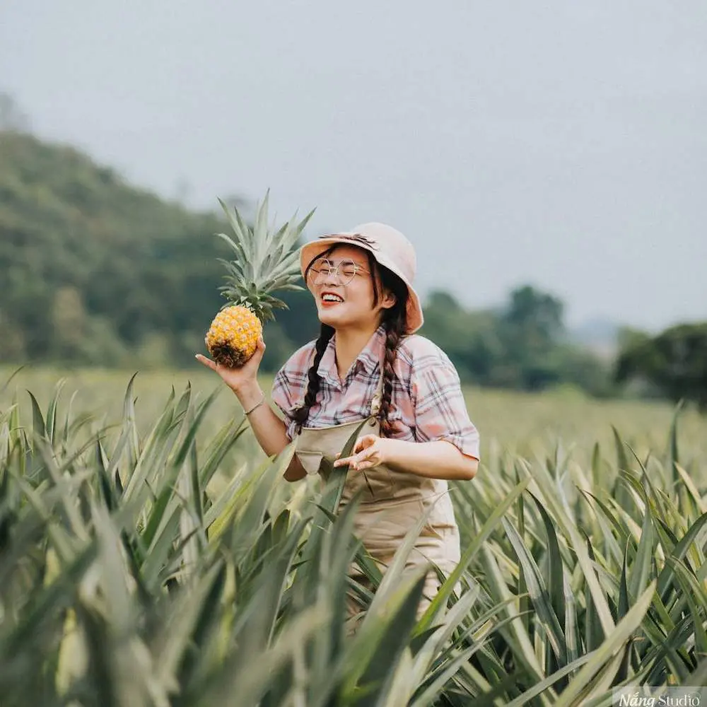 Tự tin vi vu phố phường với Bản đồ du lịch Ninh B&igrave;nh trong tay 15