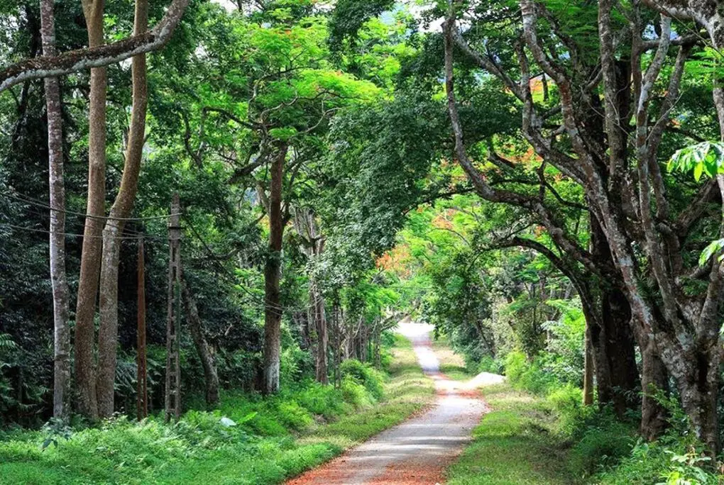 Bỏ t&uacute;i lịch tr&igrave;nh du lịch Ninh B&igrave;nh 4 ng&agrave;y 3 đ&ecirc;m cực chi tiết 10