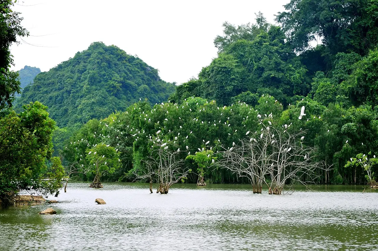 Bỏ t&uacute;i lịch tr&igrave;nh du lịch Ninh B&igrave;nh 4 ng&agrave;y 3 đ&ecirc;m cực chi tiết 11