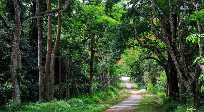 X&aacute;ch vali v&agrave; đi du lịch Ninh B&igrave;nh 4 ng&agrave;y kh&aacute;m ph&aacute; non nước Cố đ&ocirc; Hoa Lư 9