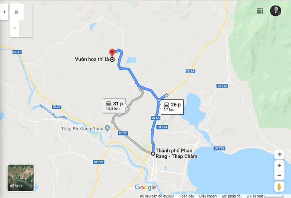 C&aacute;nh đồng hoa th&igrave; l&agrave; Ninh Thuận, biển hoa v&agrave;ng rực nơi g&oacute;c trời 3