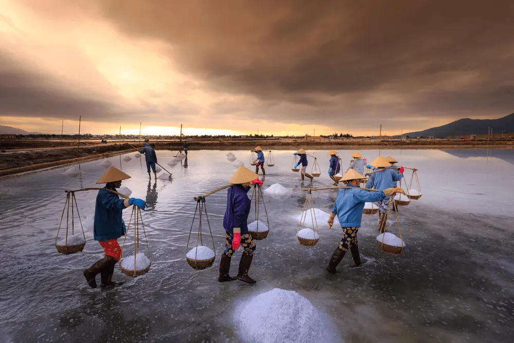 C&aacute;nh đồng muối Đầm Vua, 'c&aacute;nh đồng tuyết trắng' giữa trời Ninh Thuận 6