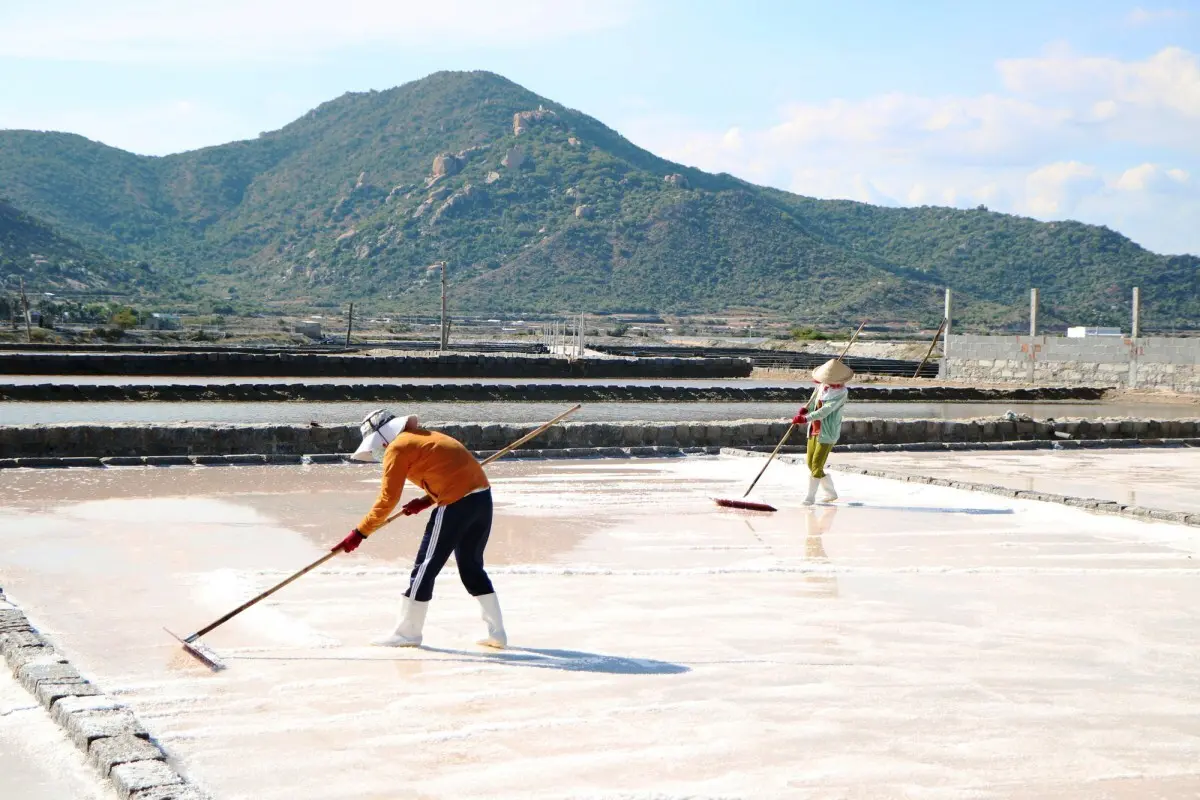 C&aacute;nh đồng muối Đầm Vua, 'c&aacute;nh đồng tuyết trắng' giữa trời Ninh Thuận 3