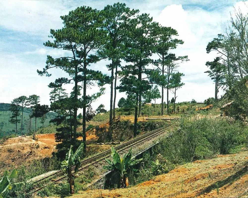 Dấu ấn đường đường t&agrave;u răng cưa Phan Rang Đ&agrave; Lạt huyền thoại 8