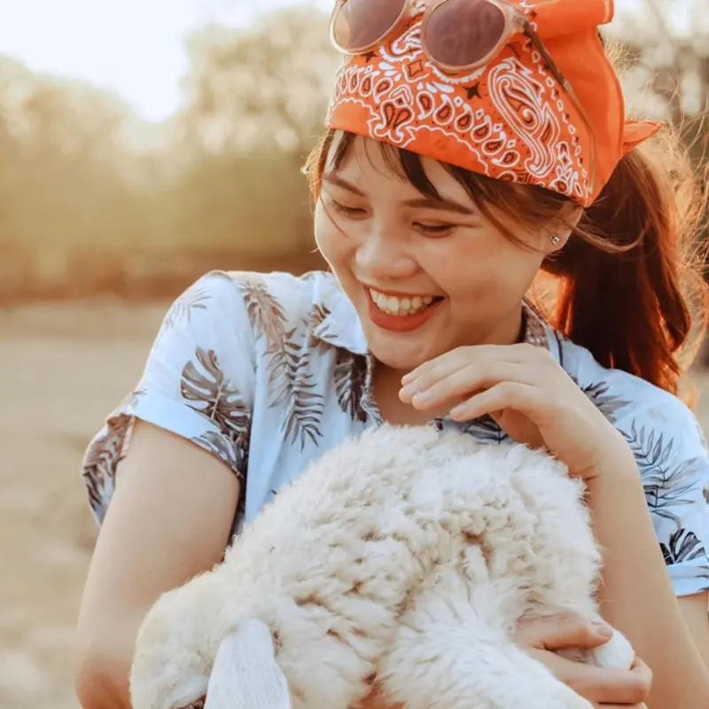 Đồng cừu An H&ograve;a, điểm đến đầy th&uacute; vị trong h&agrave;nh tr&igrave;nh về với Ninh Thuận 2