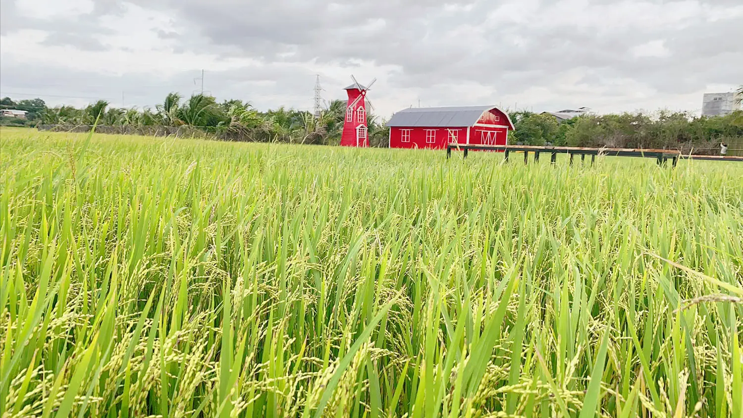 Gh&eacute; Th&aacute;p Ch&agrave;m Farm kh&aacute;m ph&aacute; thi&ecirc;n đường du lịch sinh th&aacute;i v&agrave; nghỉ dưỡng 4