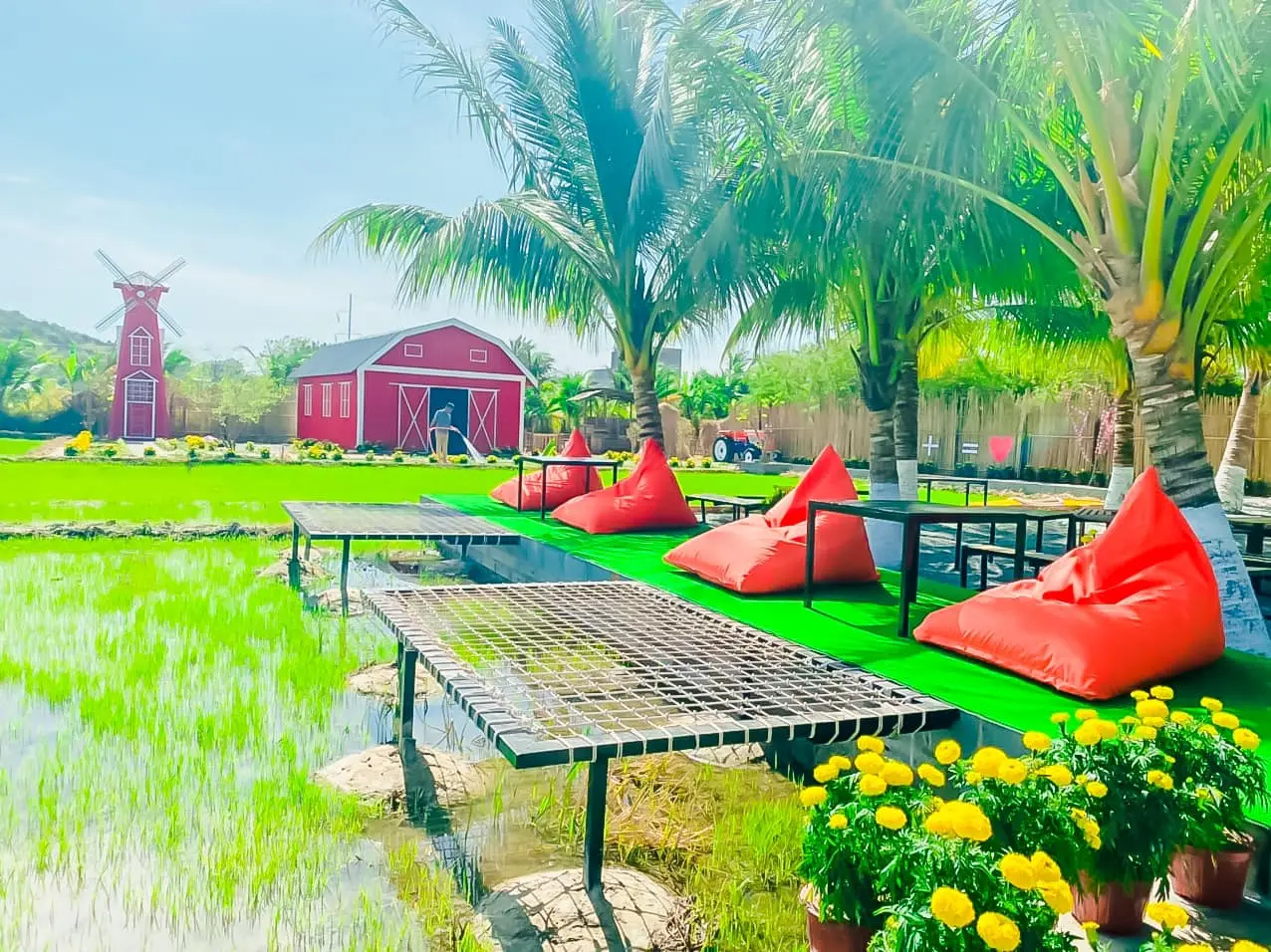 Gh&eacute; Th&aacute;p Ch&agrave;m Farm kh&aacute;m ph&aacute; thi&ecirc;n đường du lịch sinh th&aacute;i v&agrave; nghỉ dưỡng 10