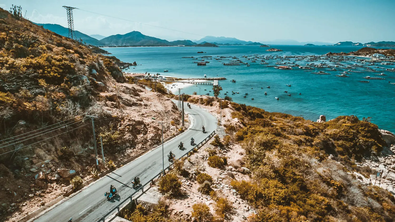 Hành trình lặn ngắm san hô vịnh Vĩnh Hy đầy thú vị mà bạn nên thử 3
