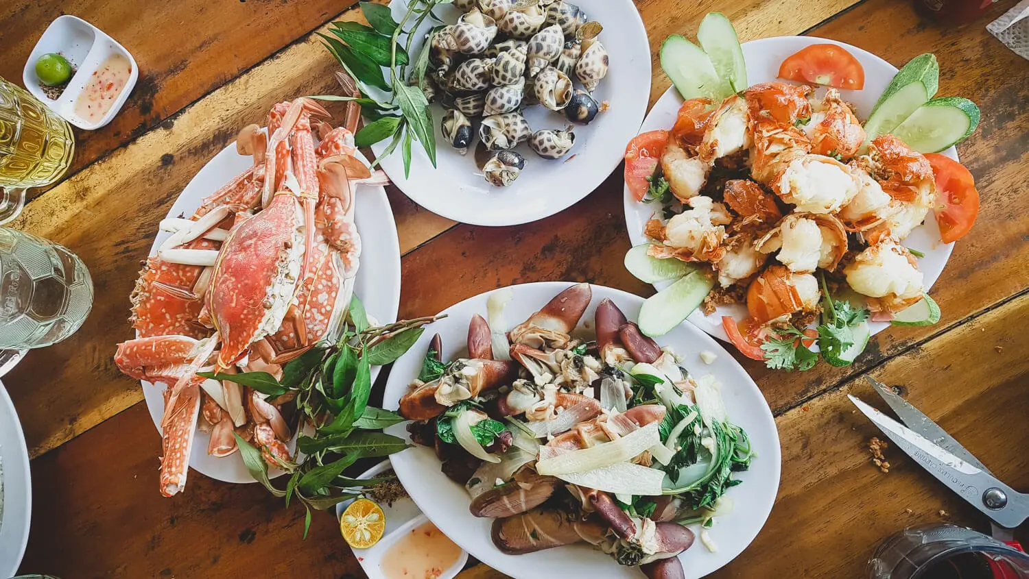 Hành trình lặn ngắm san hô vịnh Vĩnh Hy đầy thú vị mà bạn nên thử 5