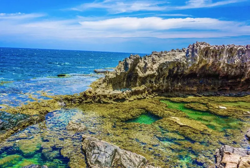 H&agrave;nh tr&igrave;nh Ninh Thuận 3 ng&agrave;y 2 đ&ecirc;m đầy nắng gi&oacute; v&agrave; k&yacute; ức kh&oacute; qu&ecirc;n 7