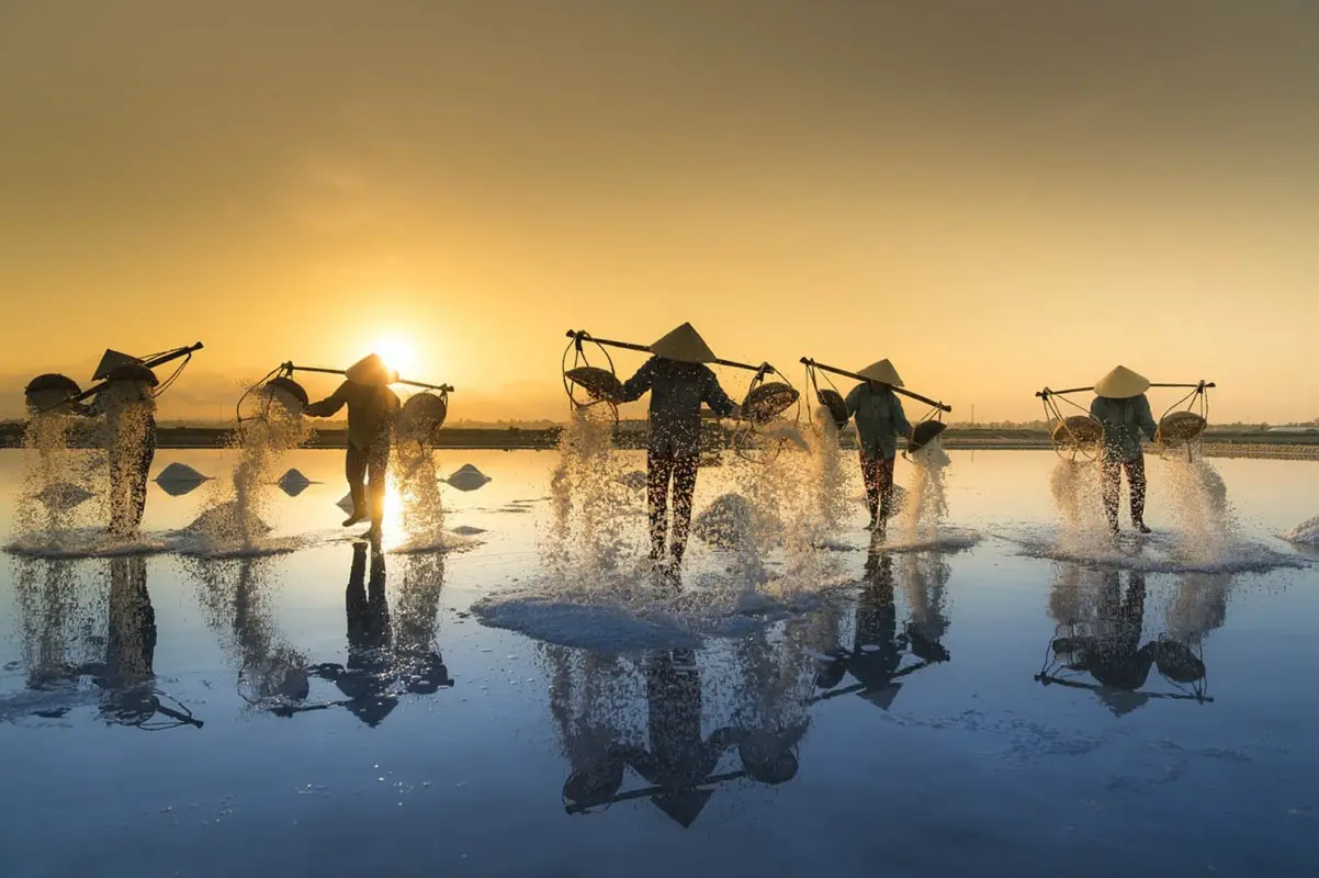Khám phá ba cánh đ&ocirc;̀ng mu&ocirc;́i Ninh Thuận mang vẻ đẹp kỳ ảo 4