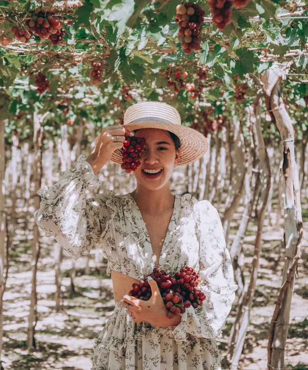 Kh&aacute;m ph&aacute; Vườn nho Ba Mọi đẹp như cổ t&iacute;ch của xứ Phan Rang 8