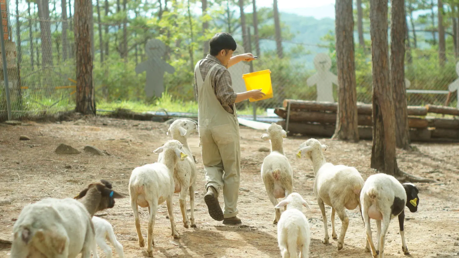Một ng&agrave;y kh&aacute;m ph&aacute; Zoodoo Phan Rang, vườn th&uacute; si&ecirc;u th&uacute; vị tại Ninh Thuận 2