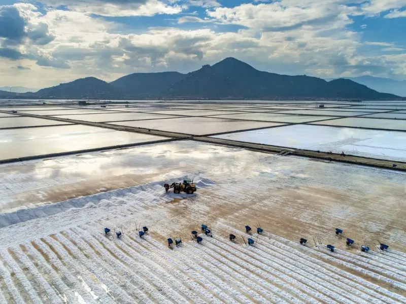 Top 12 Địa điểm du lịch Ninh Thuận đẹp đến nao l&ograve;ng 10