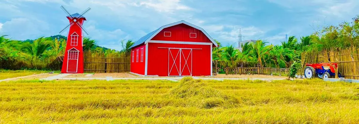 Ghé Tháp Chàm Farm khám phá thiên đường du lịch sinh thái và nghỉ dưỡng