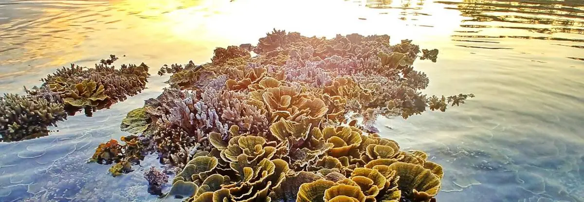 Hòn Đỏ Ninh Thuận: Vẻ đẹp an yên của nàng tiên cá ngủ say