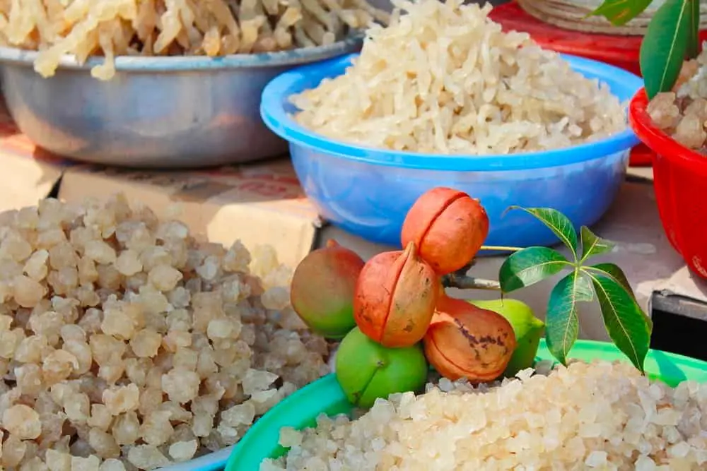 Đặc sản mủ trôm Ninh Thuận vừa thơm ngon lại rất tốt cho sức khỏe 7