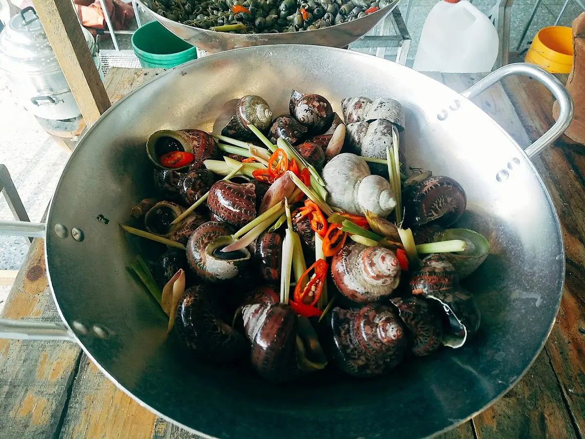 Đến Ốc Thảo Phan Rang thưởng thức menu ốc tươi ngon, hấp dẫn 4