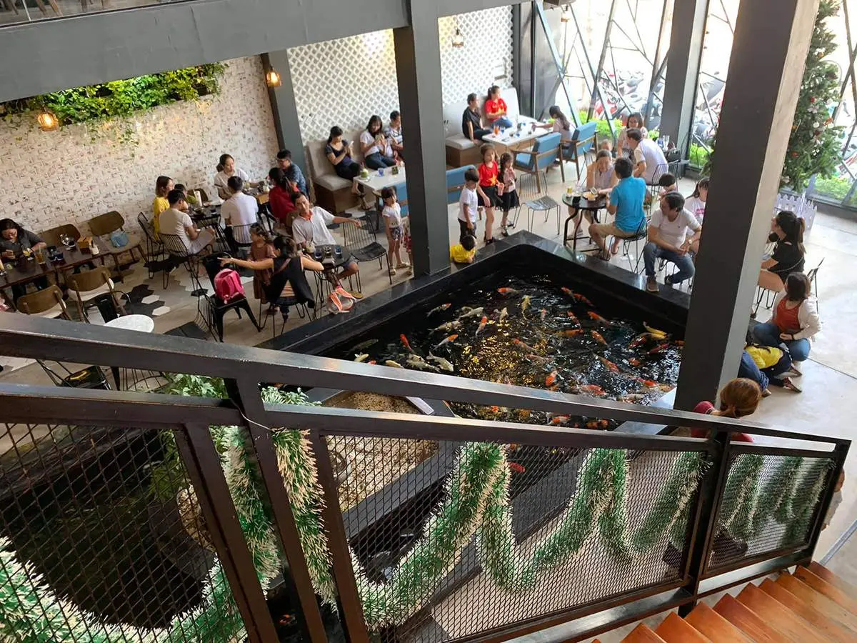 Gh&eacute; đến Min Bistro caf&eacute; ngắm hồ c&aacute; Koi tuyệt đẹp 6