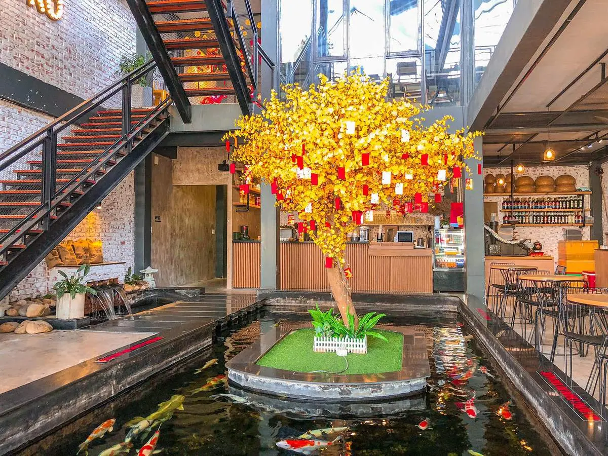 Gh&eacute; đến Min Bistro caf&eacute; ngắm hồ c&aacute; Koi tuyệt đẹp 4