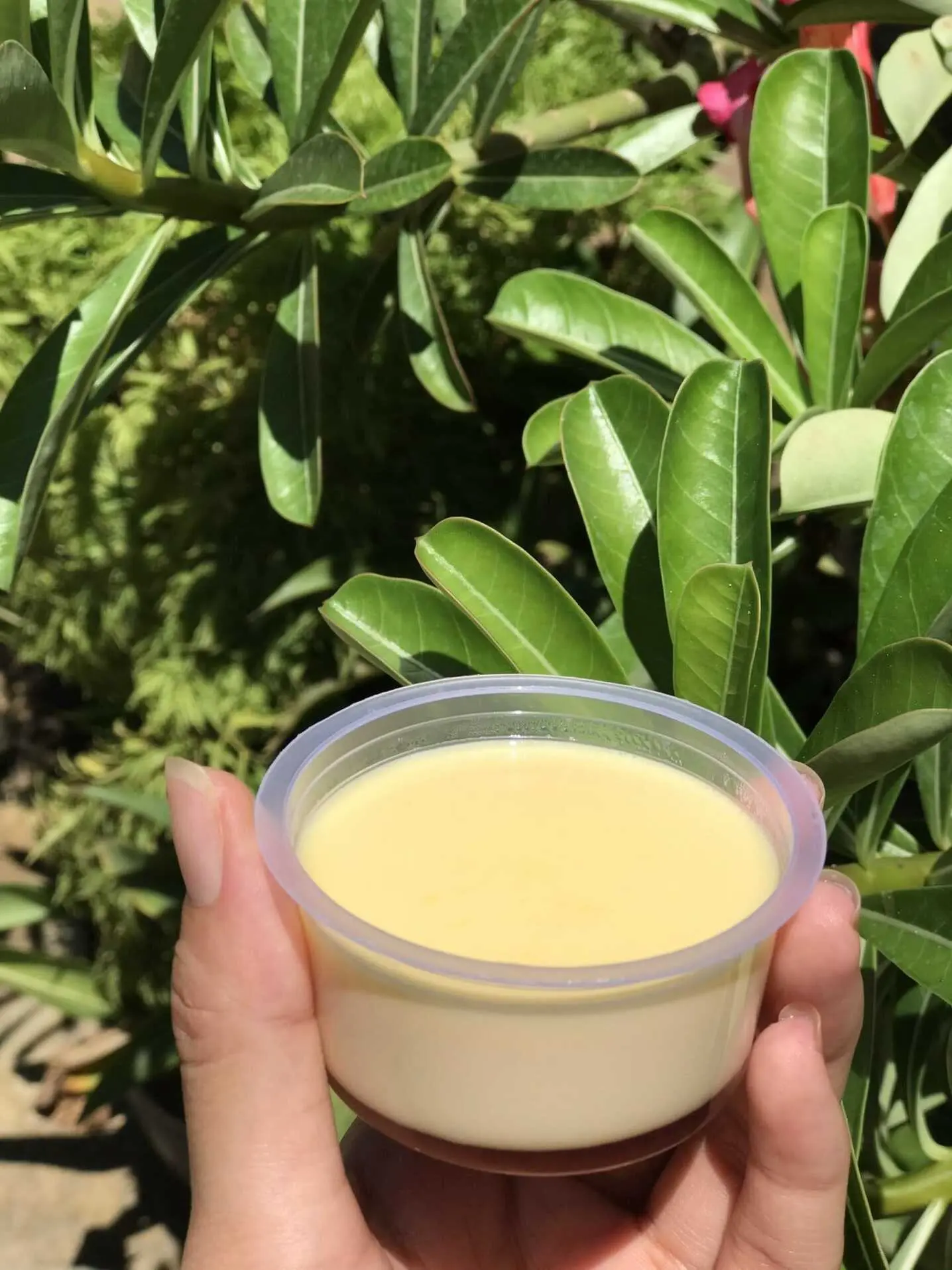 Ghé Xôi chiên Tô Hiệu, trở về với món ăn tuổi thơ 6