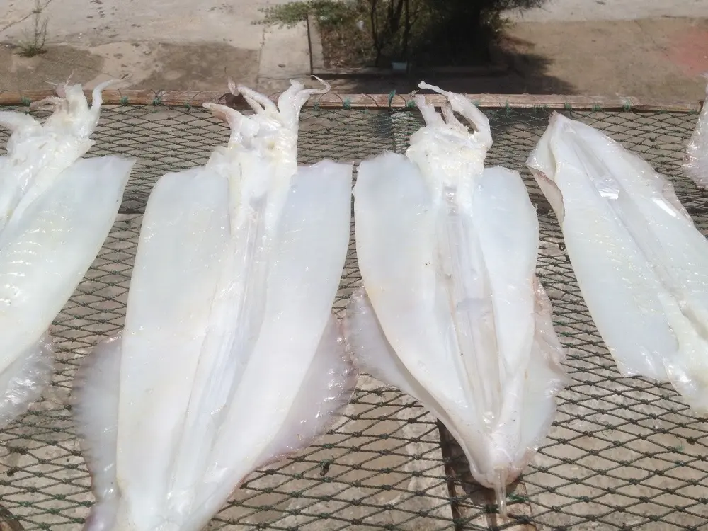 Mực một nắng Phan Rang, m&oacute;n ngon kh&oacute; cưỡng khi đến xứ sở nắng gi&oacute; 2