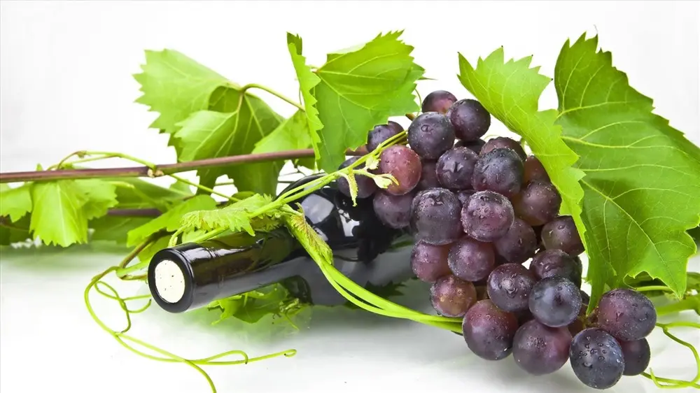 Rượu nho Ninh Thuận mang trọn t&acirc;m t&igrave;nh miền đất nắng gi&oacute; 6