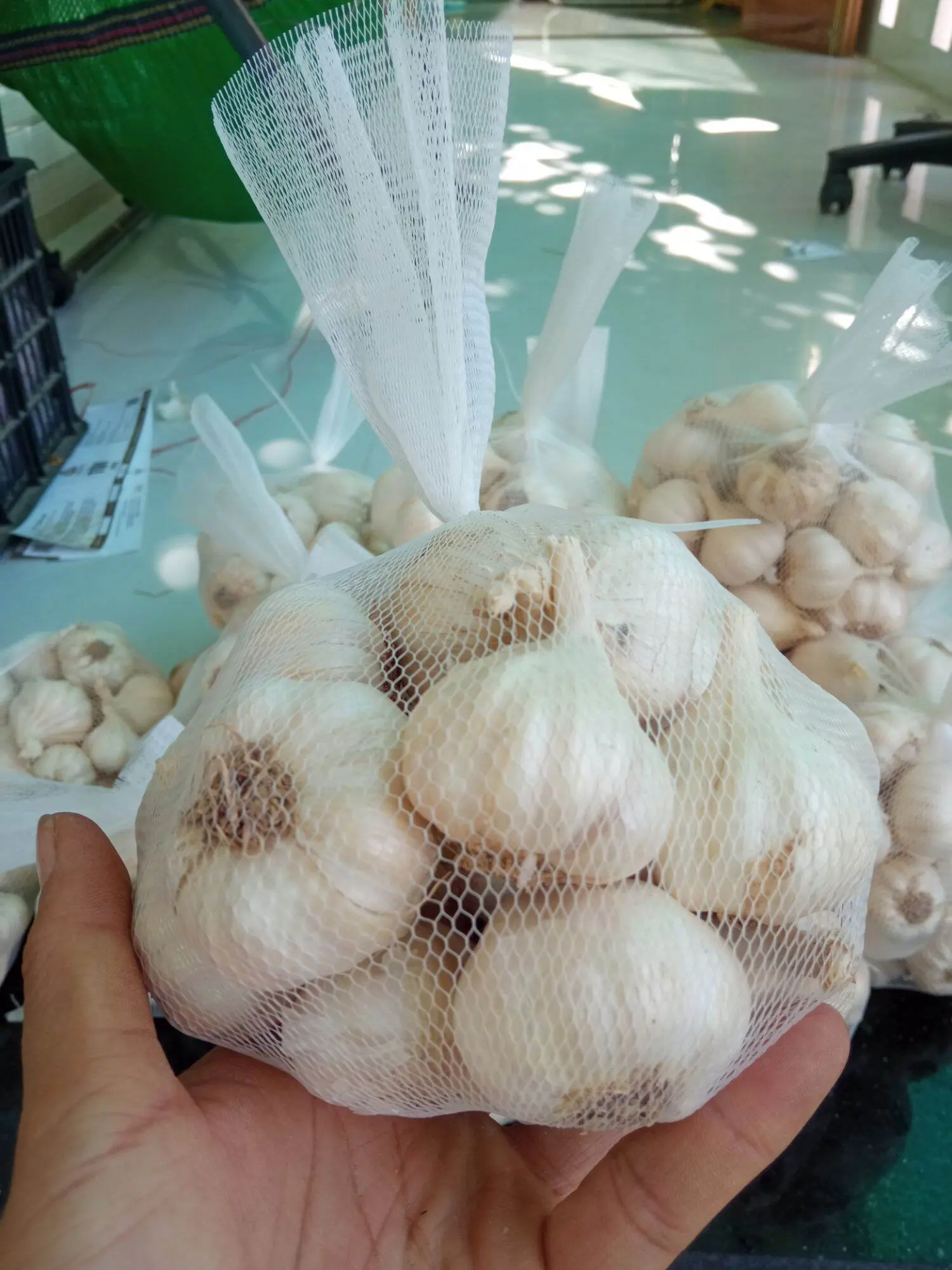 Tỏi Phan Rang, đặc sản trứ danh Ninh Thuận 6