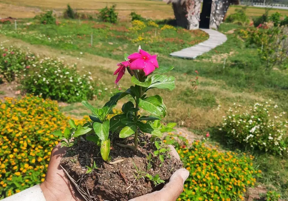 H&agrave;nh tr&igrave;nh review Ninh Thuận với những điều giản dị nhất 6
