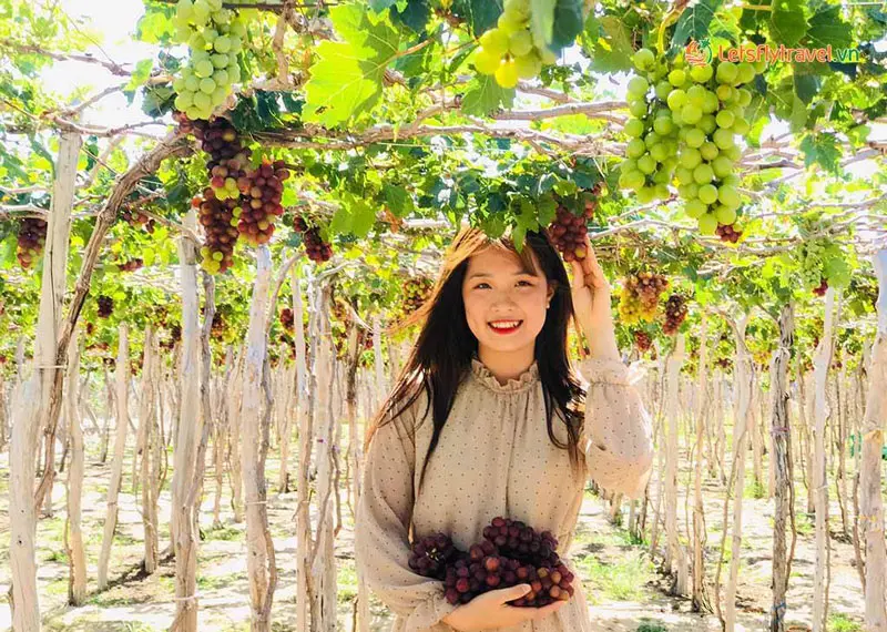 Phan Rang có gì chơi? Bỏ túi những trải nghiệm vui quên lối về 11