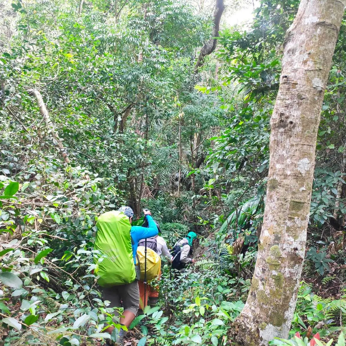 Review chuyến trekking N&uacute;i Ch&uacute;a Ninh Thuận đ&atilde; trải nghiệm một lần l&agrave; chỉ c&oacute; m&ecirc; 3