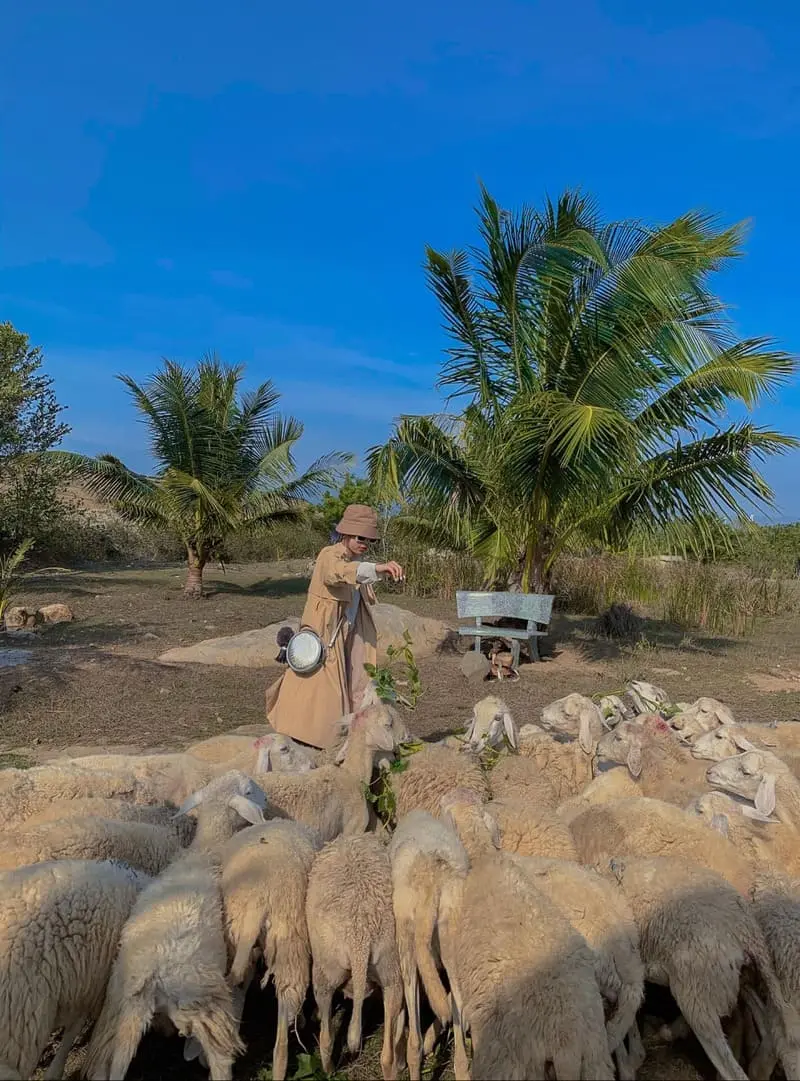 Trải nghiệm Cung đường biển 701 C&agrave; N&aacute;, Phan Rang c&ugrave;ng Aki Lan 5