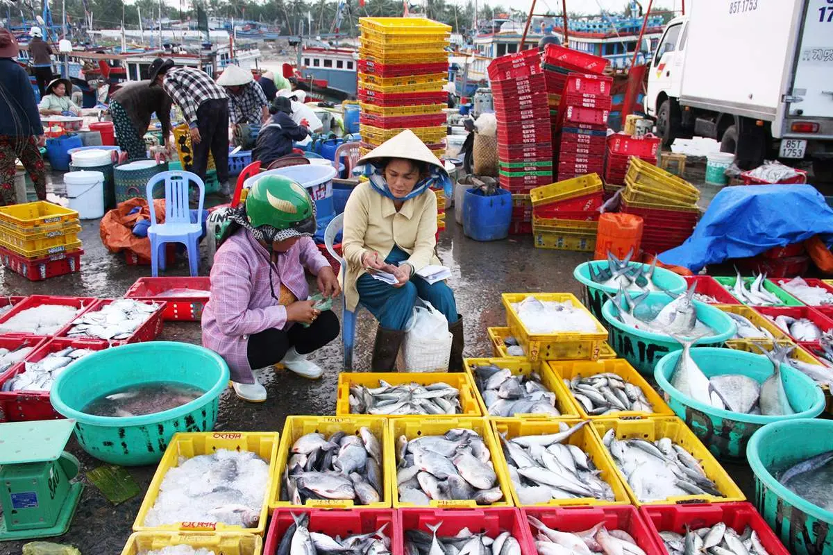 Gợi &yacute; lịch tr&igrave;nh 1 ng&agrave;y ở Ninh Thuận chi tiết nhất 2