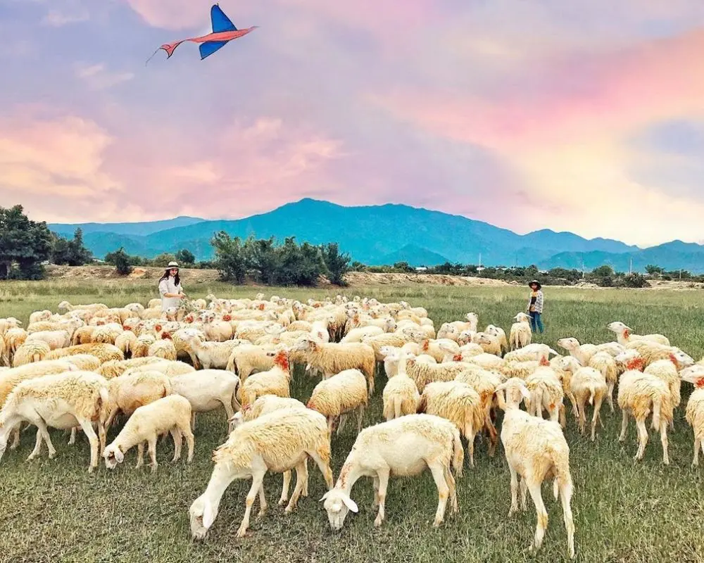 Lịch tr&igrave;nh kh&aacute;m ph&aacute; Phan Rang Th&aacute;p Ch&agrave;m th&uacute; vị cho hội bạn th&acirc;n 2