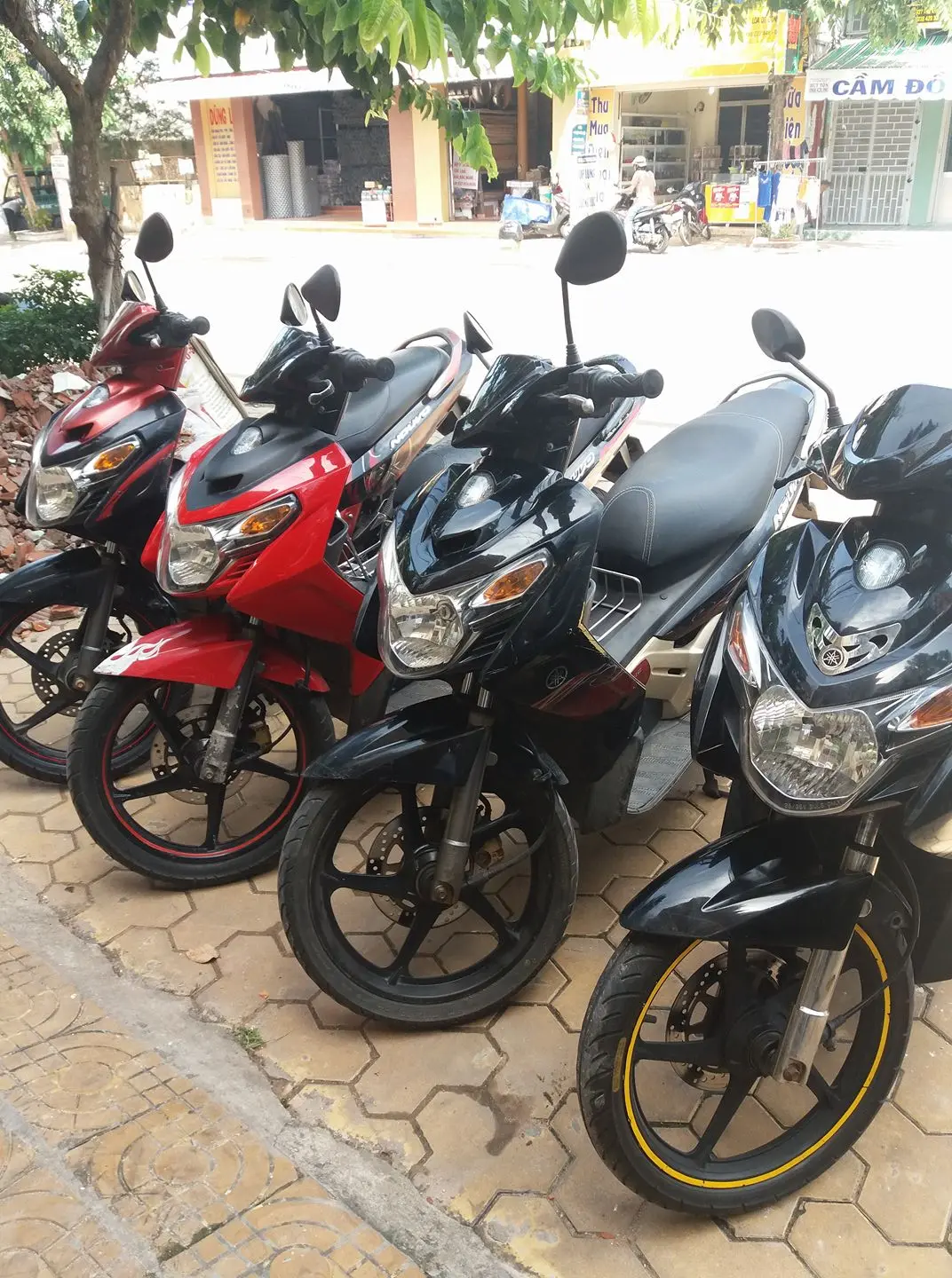 C&aacute;c địa chỉ Thu&ecirc; Xe M&aacute;y Ở Phan Thiết uy t&iacute;n, chất lượng nhất 3