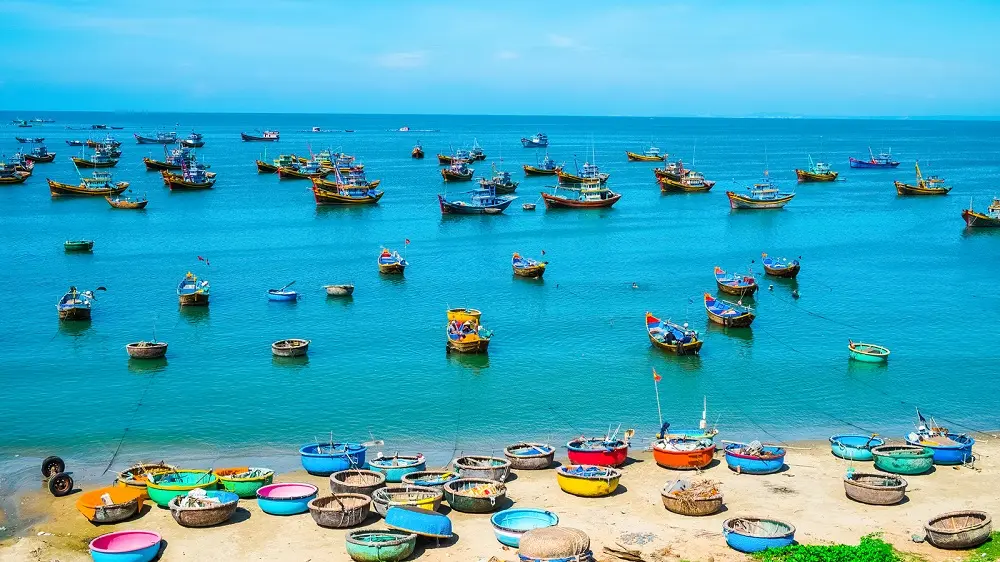 Trải Nghiệm Đi Phan Thiết Từ TP.HCM Bằng Xe Kh&aacute;ch: C&oacute; G&igrave; Hay? 6