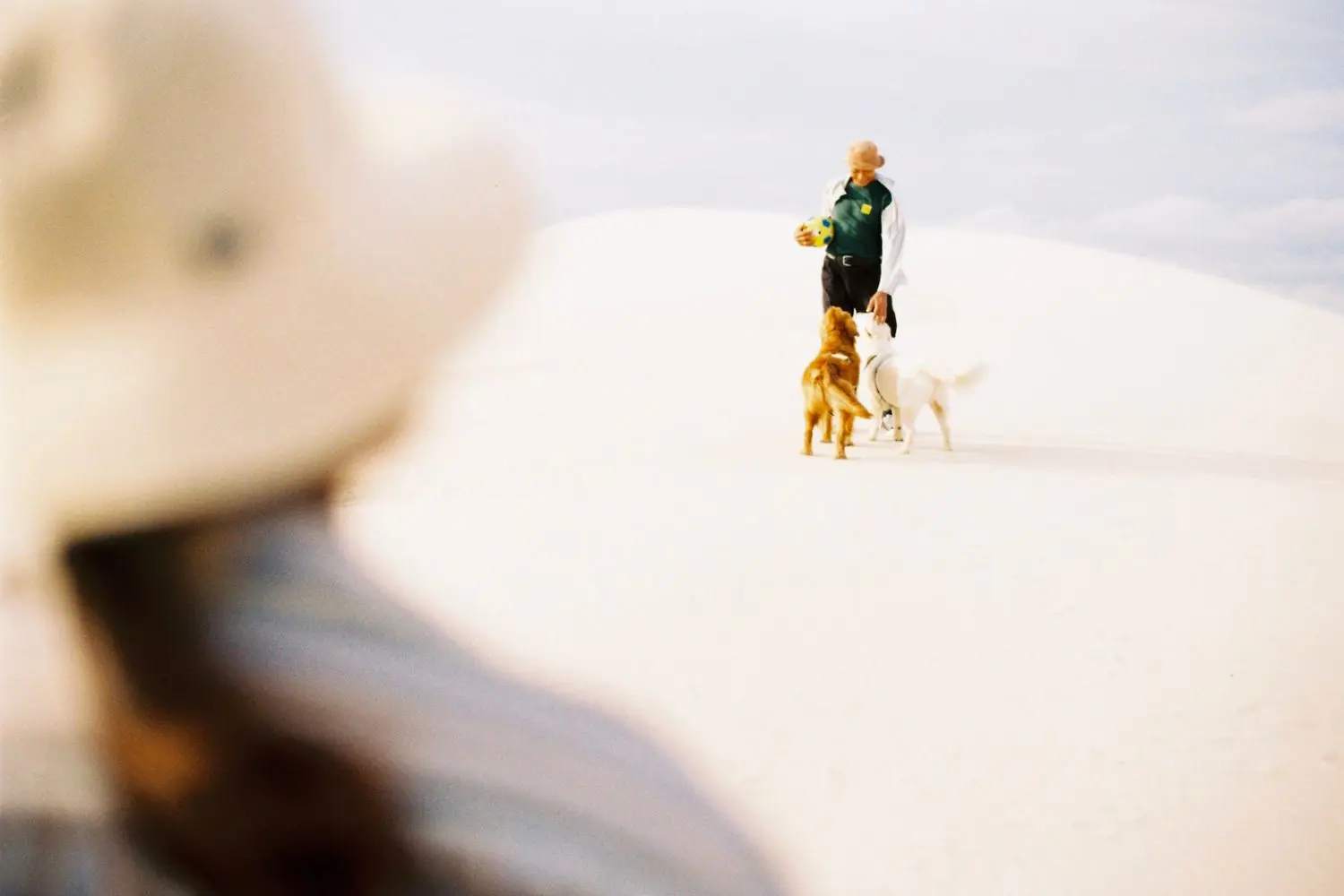 Bộ ảnh du lịch Phan Thiết con trai chụp ba mẹ g&acirc;y b&atilde;o cộng đồng mạng 5
