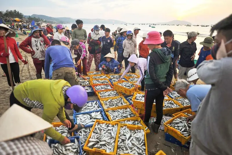 Chợ l&agrave;ng ch&agrave;i Mũi N&eacute;, trải nghiệm văn h&oacute;a địa phương hấp dẫn 4