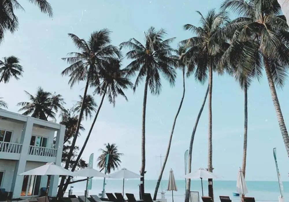 Review du lịch Phan Thiết qua g&oacute;c nh&igrave;n của anh ch&agrave;ng Tuấn Anh 5