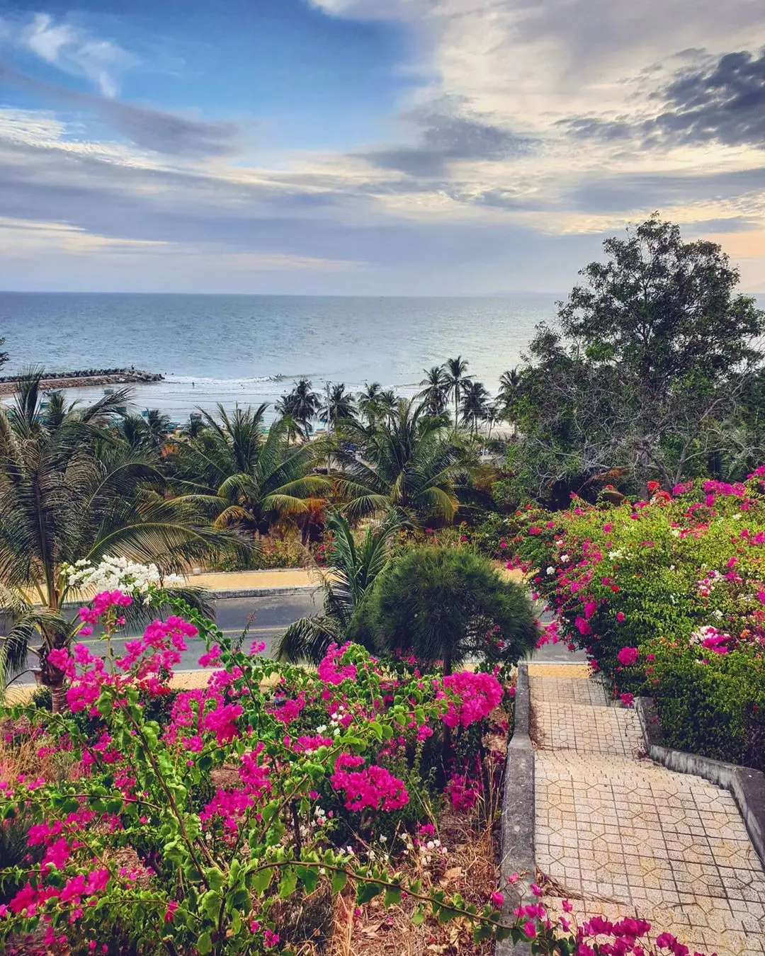 Review h&agrave;nh tr&igrave;nh du lịch Phan Thiết v&agrave;o m&ugrave;a hoa nở rộ 5